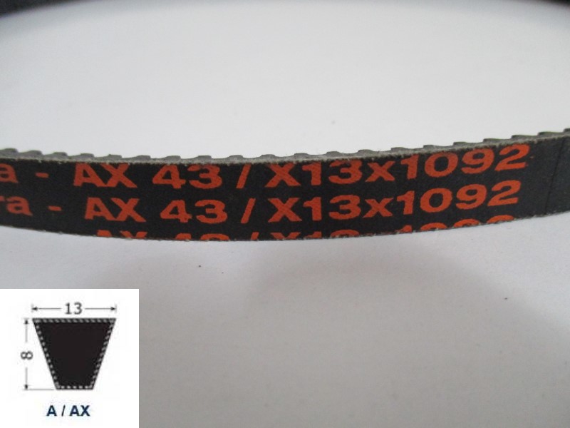 34110043, Classical Cog Belt AX 43