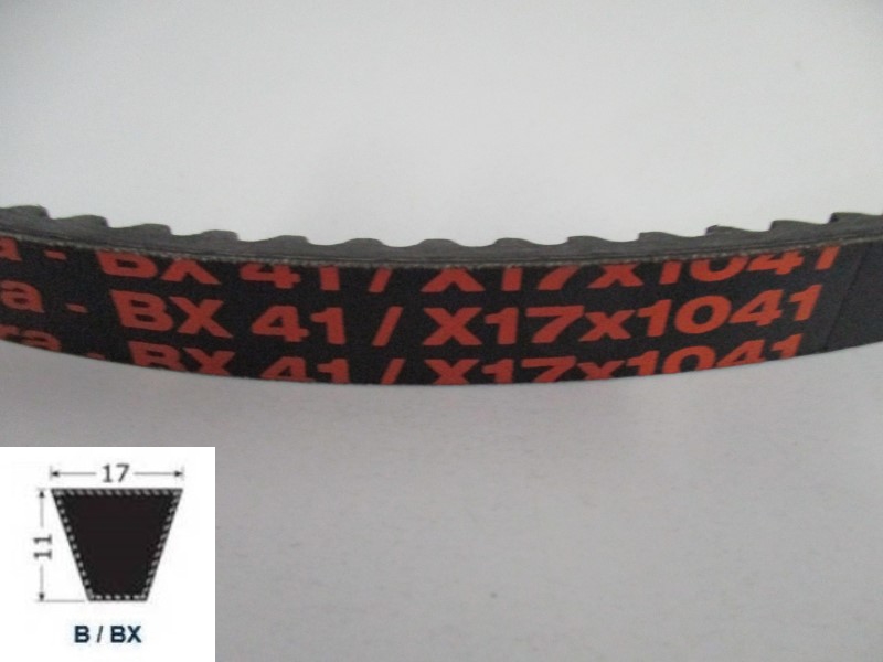 34120041, Moulded cogged V-Belt BX 41
