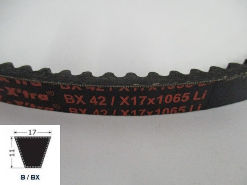 34120042, Moulded cogged V-Belt BX 42
