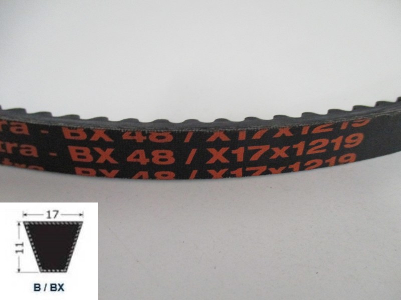34120048, Moulded cogged V-Belt BX 48