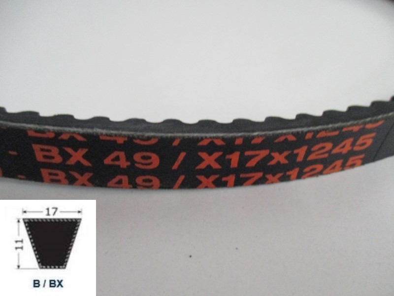 34120049, Moulded cogged V-Belt BX 49