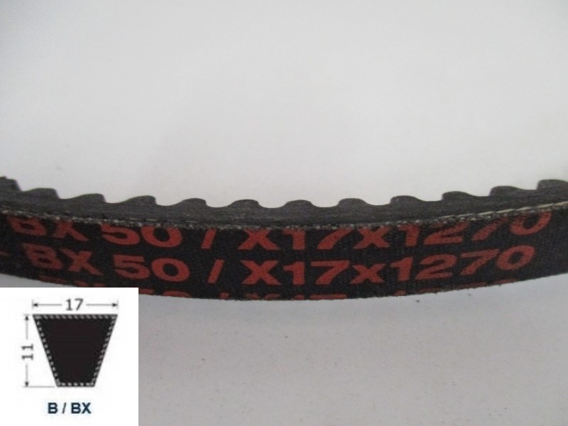 34120050, Moulded cogged V-Belt BX 50