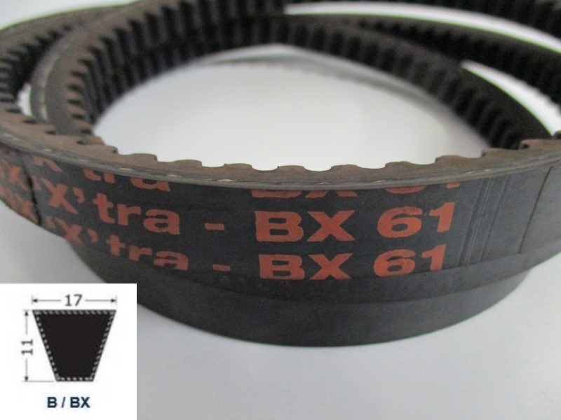 34120061, Moulded cogged V-Belt BX 61